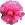 ���l���΂̗��⓴